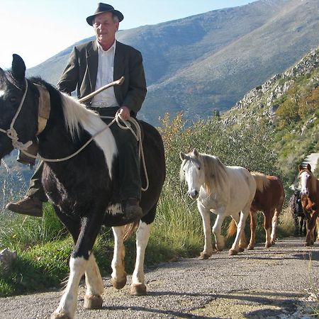 Il Nido Dei Gemelli Villa Формия Екстериор снимка